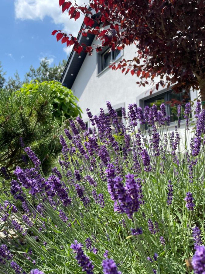 בולסלאביש Hortus Apartament Z Klimatyzacja מראה חיצוני תמונה