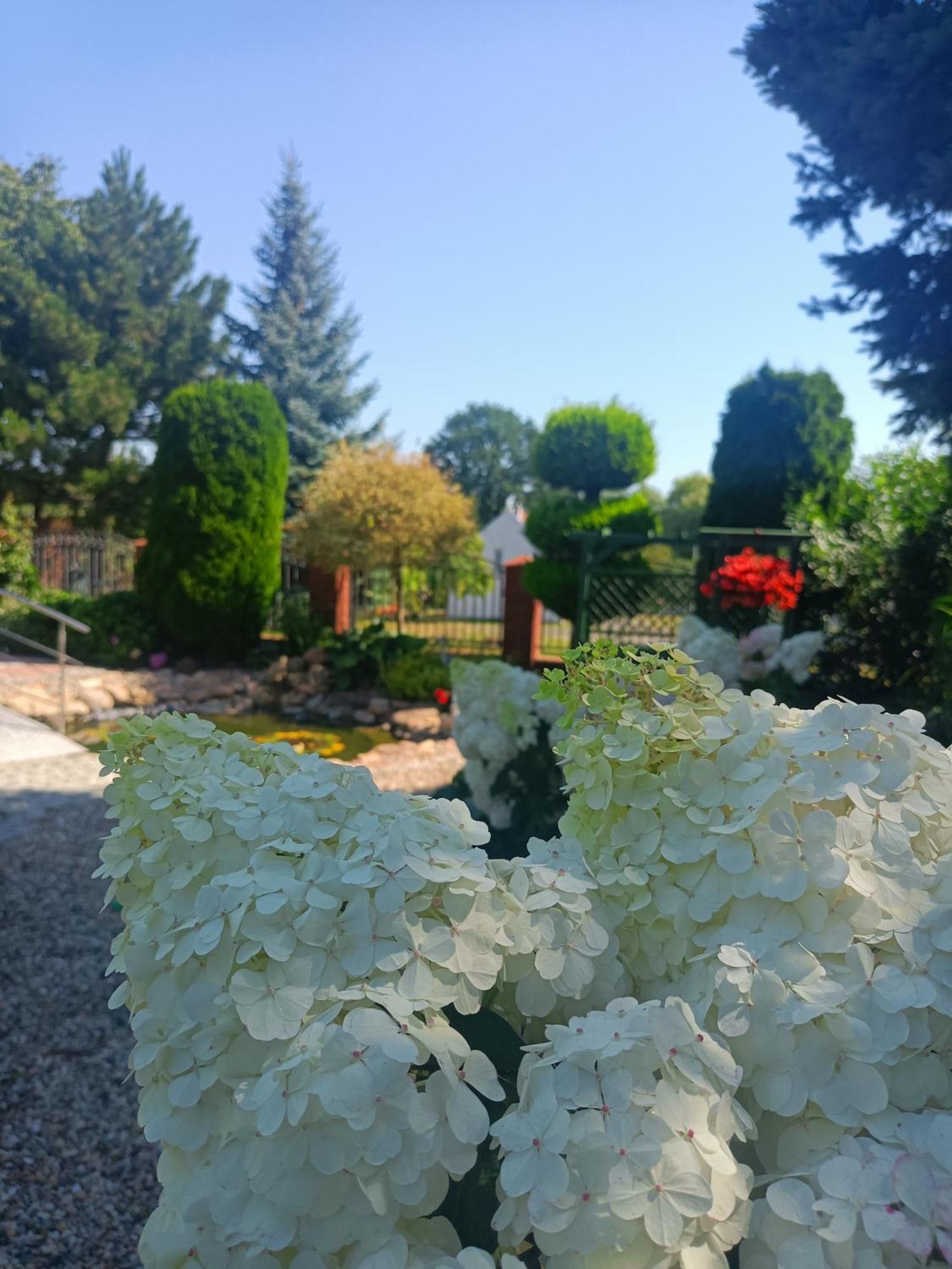 בולסלאביש Hortus Apartament Z Klimatyzacja מראה חיצוני תמונה